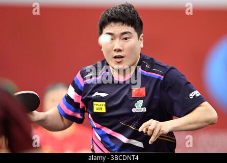 Doha, Qatar. 19 mai 2025. Liang Jingkun, de Chine, participe à la ronde masculine en simple de 64 entre Liang Jingkun, de Chine, et Joao Geraldo, du Portugal, à la finale des Championnats du monde de tennis de table de l'ITTF Doha 2025 à Doha, Qatar, le 19 mai 2025. Crédit : HE Changshan/Xinhua/Alamy Live News Banque D'Images