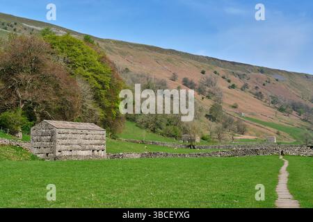 Cabanes en pierre à Swaledale près de Muker, Yorkshire Dales, North Yorkshire Banque D'Images