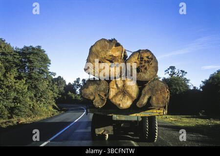 Transport de bois, grumes sur camion, Panamericana, Cerro de la muerte, Costa Rica, Amérique centrale Banque D'Images