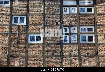 L'image montre un mur de maison à colombages dans une ville allemande Banque D'Images