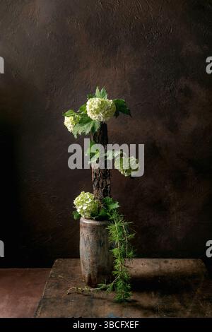 Composition florale créative ikebana fleurs blanches d'hortensia sur pièce d'écorce d'arbre dans un vase en céramique brun foncé texturé fond Moody artistique encore lif Banque D'Images