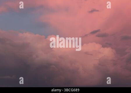 Spectaculaires nuages orageux roses et violets illuminés par le soleil couchant, montrant des textures dynamiques et une atmosphère sombre dans le ciel du soir. Banque D'Images