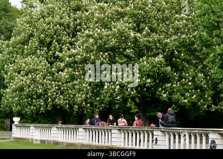 Les habitants profitent d'un week-end de printemps ensoleillé sous les châtaigniers en fleurs dans un parc central de Sofia Bulgarie, se relaxant et passant du temps libre à l'extérieur Banque D'Images