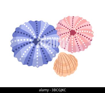 Une illustration vectorielle mettant en vedette un oursin vibrant et un coquillage délicat, mettant en valeur les textures et les couleurs complexes de la vie marine, isolé o Illustration de Vecteur