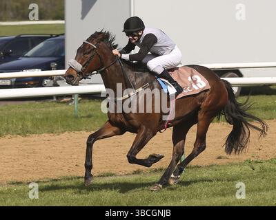 Jozef Bojko remporte le 3ème prix de course d'Hydro Wacht GmbH le 22.04.2023 à l'hippodrome de Magdeburg Herrenkrug sur la jument Mandy's Girl, Jozef Bojko Winning Banque D'Images