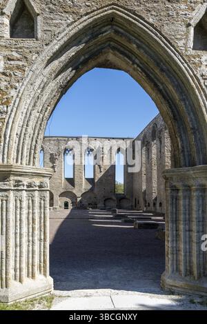 Pirita, Estonie - 6 août 2021 : vue détaillée des ruines du couvent Saint Brigitta à Pirita près de Tallinn Banque D'Images