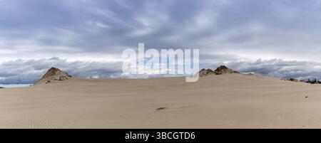 Une vue panoramique sur les dunes de sable qui s'erraient sans fin dans le parc national de Slowinski, sur la mer Baltique, dans le nord de la Pologne Banque D'Images