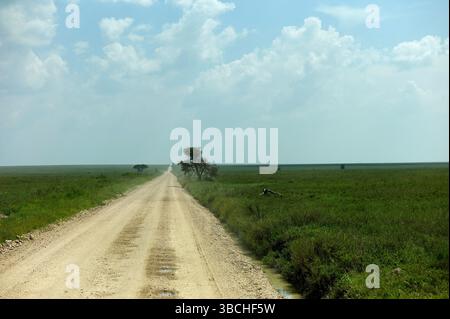 Long chemin de terre à travers de vastes plaines vertes sous un ciel bleu nuageux. Serengeti, Tanzanie Banque D'Images