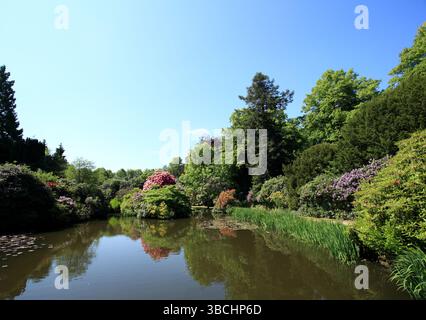 Biddulph grange Garden, Biddulph, Staffordshire, Angleterre, Royaume-Uni. Banque D'Images