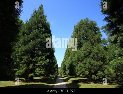 Biddulph grange Garden, Biddulph, Staffordshire, Angleterre, Royaume-Uni. Banque D'Images