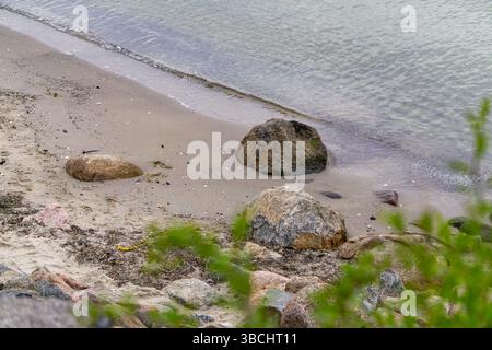 Plage de sable avec des rochers et de la végétation au premier plan, des vagues douces lavant le rivage. Paysage côtier naturel dans des tons doux. Banque D'Images