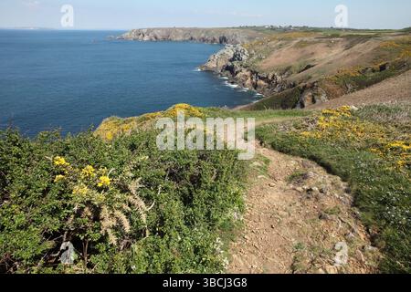 Côte rocheuse à la pointe de Castelmeur, Cléden-Cap-Sizun Bretagne, France. Banque D'Images