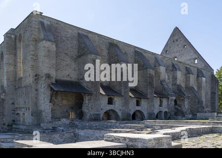Pirita, Estonie - 6 août 2021 : vue sur les ruines du couvent Saint Brigitta à Pirita près de Tallinn Banque D'Images