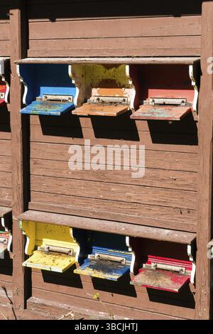 Ruches et les portes d'entrée en plusieurs couleurs dans une ruche beehouse Banque D'Images
