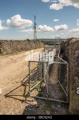 Installation d'un système de manutention des moutons à Edge Lane entre Hebden et Grassington dans le North Yorkshire (Yorkshire Dales). Banque D'Images