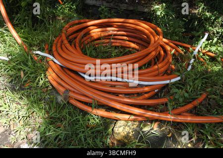 Un tuyau d'eau orange enroulé repose comme cela sur l'herbe verte prête à être utilisée Banque D'Images