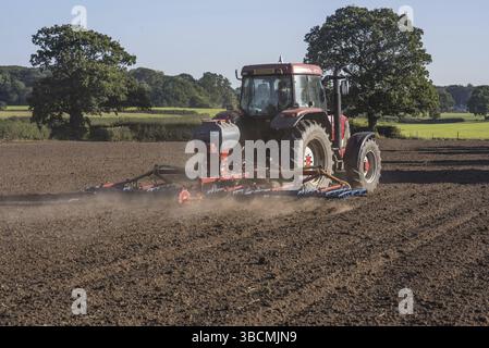 Tracteur McCormick MTX110 avec semoir pico et herse à gazon, semant l'herbe et le trèfle mélange dans les champs cultivés, Cheshire, Angleterre, Royaume-Uni, Europ Banque D'Images