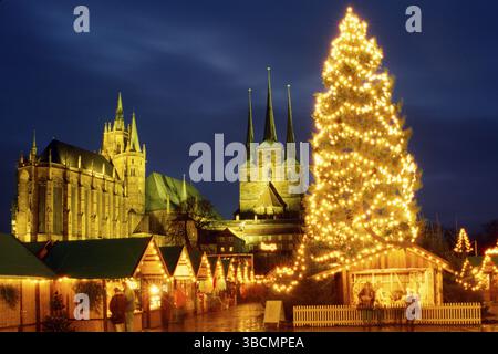 Marché de Noël devant la cathédrale de Marie et église de Severin le soir, Erfurt, Thuringe, Allemagne, sapin de Noël, Europe Banque D'Images