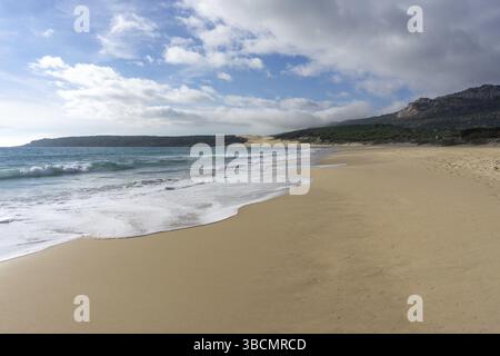 Une paisible plage de sable doré vide avec des vagues qui se baladent et une forêt de pins et une grande dune de sable dans le arrière-plan Banque D'Images