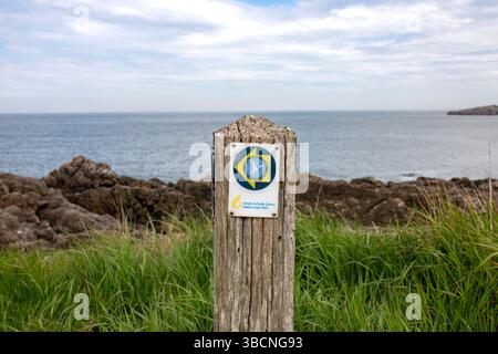 Chemin de la côte du pays de Galles, île d'Anglesey Coastal pah, panneau en bois avec la mer en arrière-plan. Pays de Galles, Cymru, marqueur d'itinéraire de marche. Banque D'Images