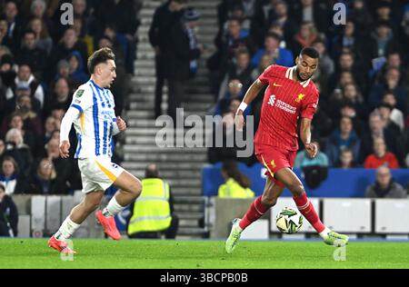 EFL Carabao Cup égalité entre Brighton et Hove Albion et Liverpool à l'American Express Stadium, Brighton UK - 30 octobre 2024 - Cody Gakpo de Liverpool avec le ballon pendant le match Banque D'Images