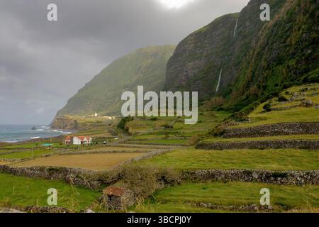Paysage côtier sur les Açores, Açores, Flores, Faja Grande Banque D'Images