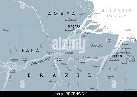 Amazone Delta, carte politique grise. Delta du fleuve formé par l'Amazone et la rivière Tocantins dans le nord de l'Amérique du Sud. Banque D'Images