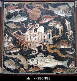 Emblème de mosaïque dans l'opus vermiculatum à partir de tesselles polychromes. Sur un fond marin fait de tesselles noires, une pieuvre combat un homard entouré d’une myriade de poissons méditerranéens et d’espèces de molluses. Pompéi, Maison des mosaïques géométriques (VIII 2, 14 - 16). Inizi del i secolo a.c. - début du 1er siècle avant notre ère Banque D'Images