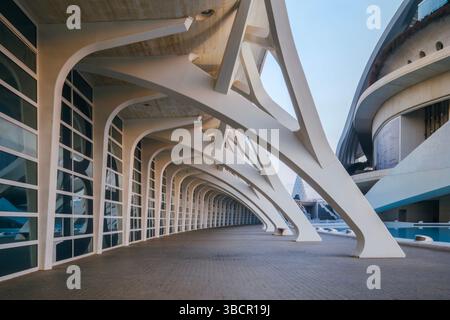 Détails architecturaux de la Cité des Arts et des Sciences. Design moderne, structures en béton, Landmark urbain, ingénierie futuriste Banque D'Images