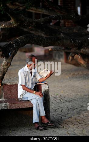 Asie,Inde du Sud ,Etat du Kerala,Kochi (Cochin),homme lisant un livre/man lisant un livre dans la ville de Kochi (Cochin),dans l'Etat indien du Kerala,S. Banque D'Images