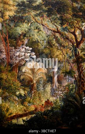 Indiens dans la forêt vierge, 1830, huile sur toile, Johann Moritz Rugendas (1802-1858), Berlin, Die Stifung Preubische Schlosser und Garten Berlin-Bran Banque D'Images