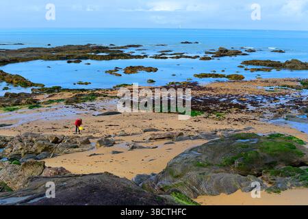 La plage et la baie des Sables d'Olonne sur la Côte de lumière, Vendée (85), pays de la Loire, France. Banque D'Images