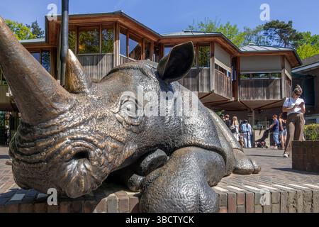 Sculpture en bronze de rhinocéros à l'entrée du zoo Burgers, jardin zoologique à Arnhem, Gueldre, pays-Bas Banque D'Images