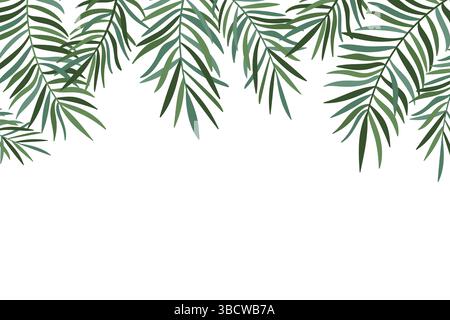 Palm treen laisse le fond. Fond de cadre supérieur de feuilles tropicales, avec des branches vertes de palmier de noix de coco Illustration de Vecteur