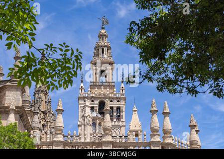 Casco Antiguo, Séville, Andalousie, Espagne. Clocher de la cathédrale de Séville. Banque D'Images