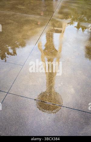Reflection of Space Needle, Seattle, État de Washington, États-Unis. Banque D'Images