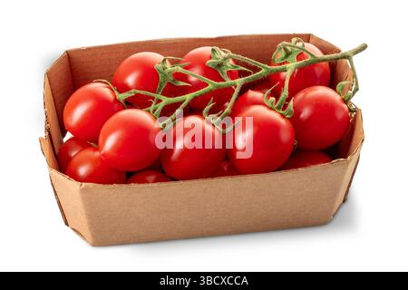 Tomates Piccadilly groupées, tomates cerises dans un plateau en carton isolé sur blanc avec chemin de coupe inclus Banque D'Images
