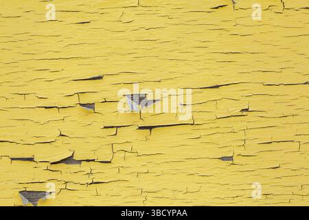 Gros plan de la peinture jaune fissurée et écaillée sur la vieille surface de contreplaqué. Banque D'Images