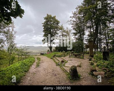 Un sentier paisible et tranquille qui est magnifiquement entouré d'arbres, menant à une vue imprenable sur le paysage Banque D'Images