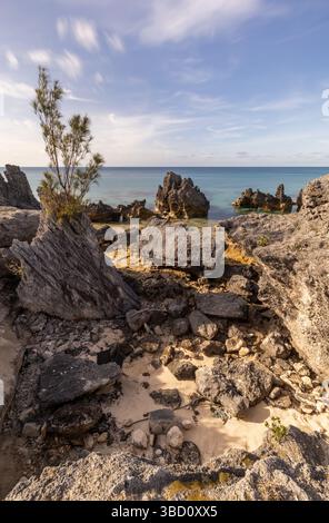 Paysage vertical de côte rocheuse et de mer turquoise aux Bermudes, avec des formations calcaires, du sable et des nuages à longue exposition sous ciel bleu. Banque D'Images