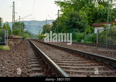 Nagymaros, Hongrie - 1er septembre 2024 : des lignes de chemin de fer sans fin traversent la campagne hongroise animée Banque D'Images