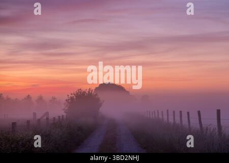 Une scène tranquille se déroule par un matin brumeux, affichant les couleurs vives du lever du soleil le long d'un chemin de campagne Banque D'Images