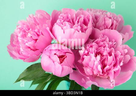 Beau bouquet de pivoines roses fraîches sur fond de menthe. Espace pour le texte Banque D'Images