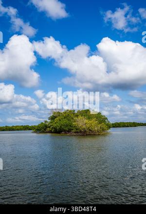 Les dix mille îles dans le parc national des Everglades dans le sud-ouest de la Floride États-Unis Banque D'Images