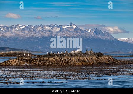 Terre des îles de feu. Beagle Channel. Ushuaia. La fin du monde. Argentine du Sud Banque D'Images