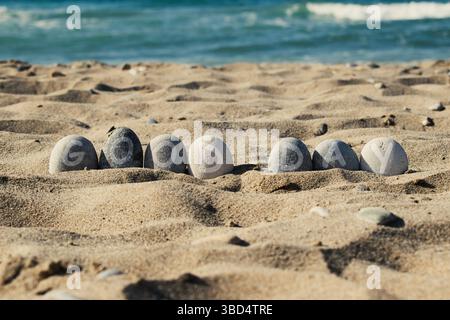 Mot Good Day écrit sur Pebbles at the Beach Banque D'Images