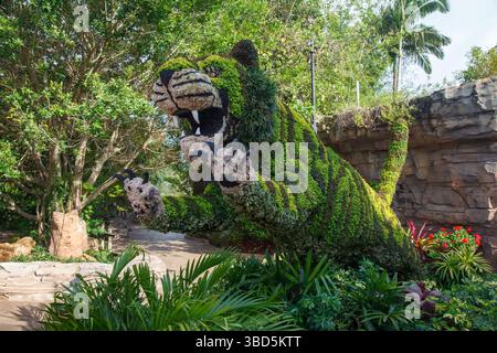 Un jardin topiaire tigre dans le parc d'attractions Busch Gardens à Tampa, Floride. Banque D'Images