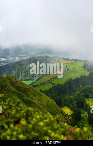 Collines couvertes de brume avec des pâturages vert vif et une route sinueuse en contrebas Banque D'Images