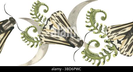 Lunaire mystique phases croissant avec la nuit mites et branches de fougères vertes aquarelle sans couture frontière. Bannière dessinée à la main avec des papillons magiques et des étoiles du ciel Banque D'Images