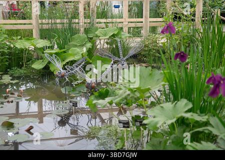 Chelsea, Londres, Royaume-Uni. 19 mai 2025. Les plantes de Lincolnshire Pond sont exposées dans le Grand Pavillon au RHS Chelsea Flower Show. Cette partie de l'exposition évoque la réflexion sur la façon dont les usines de traitement de l'eau et la nature peuvent travailler ensemble car les usines d'eau peuvent filtrer et nettoyer l'eau. Crédit : Maureen McLean/Alamy Banque D'Images
